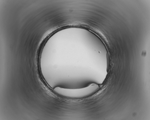 X0000096711122200802261622