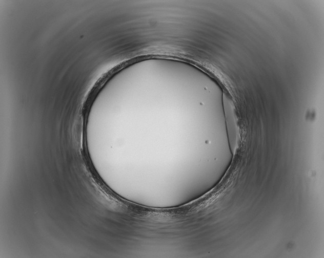 X0000096711123200802261622