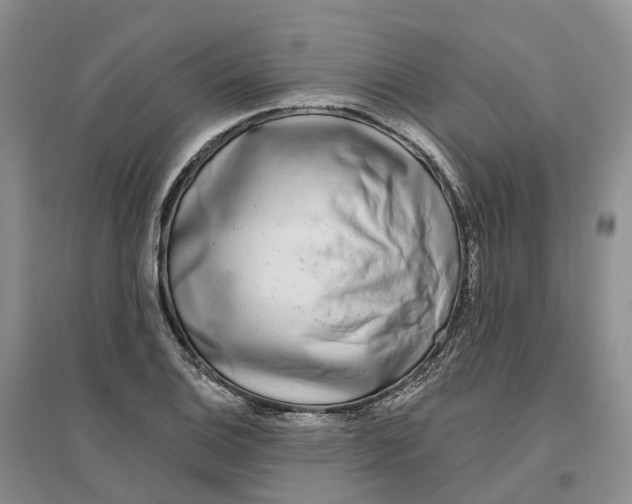 X0000096711124200802261622