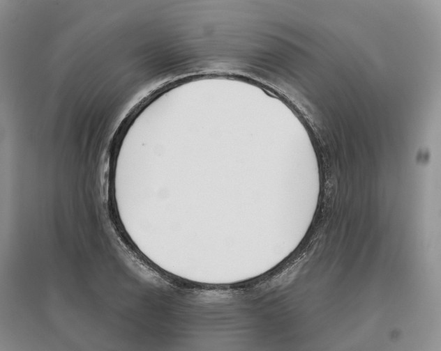 X0000096711126200802261622