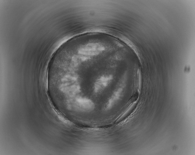 X0000096711127200802261622