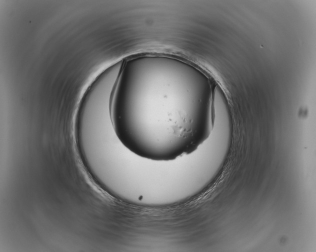 X0000096711128200802261622