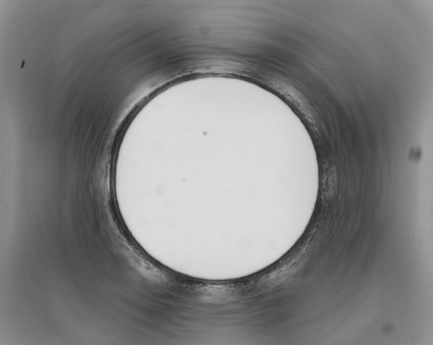 X0000096711130200802261622