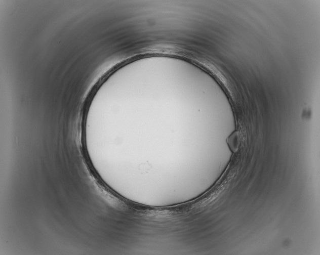 X0000096711131200802261623