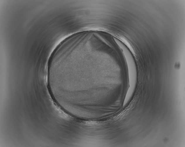 X0000096711132200802261623