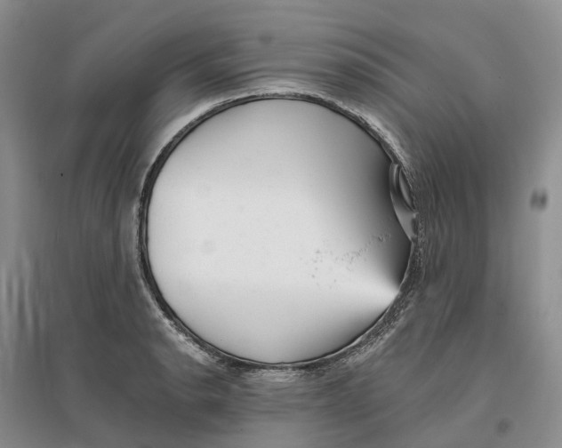 X0000096711134200802261623