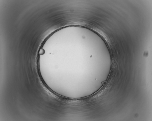 X0000096711135200802261623