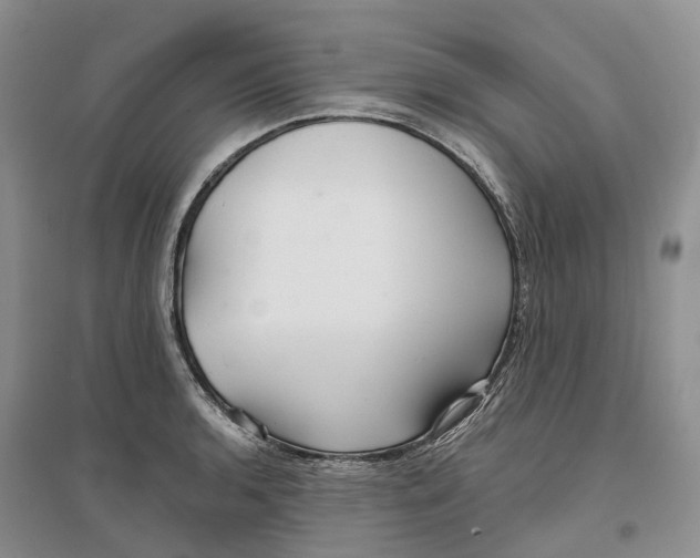 X0000096711136200802261623