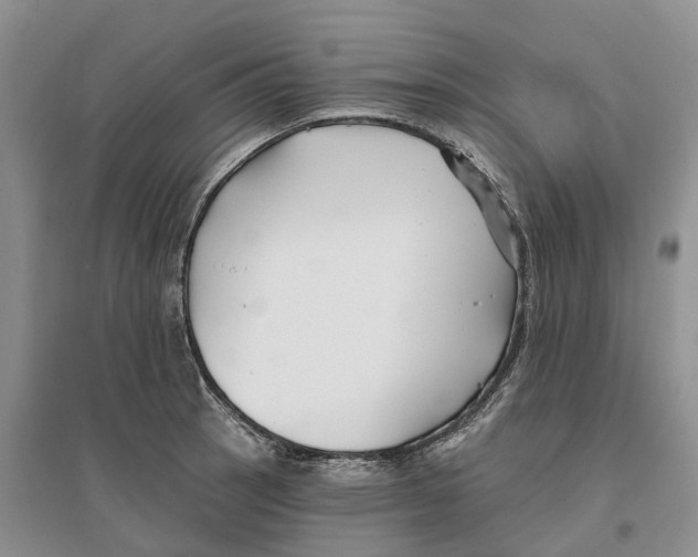 X0000096711137200802261623