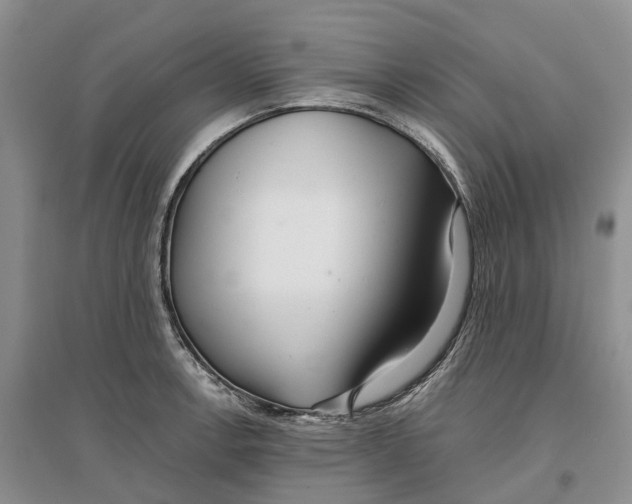 X0000096711138200802261623