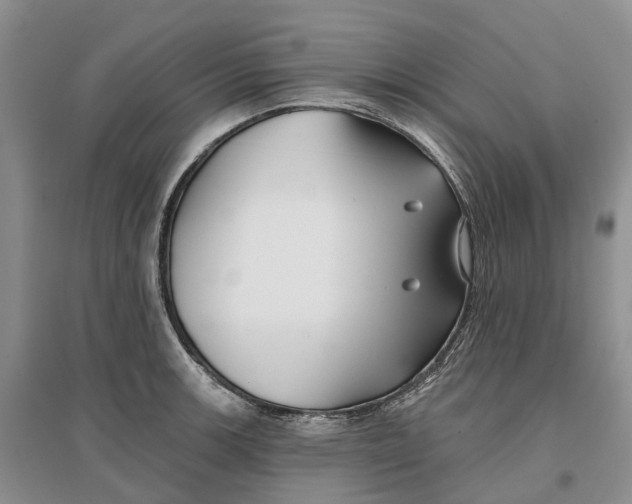 X0000096711139200802261623