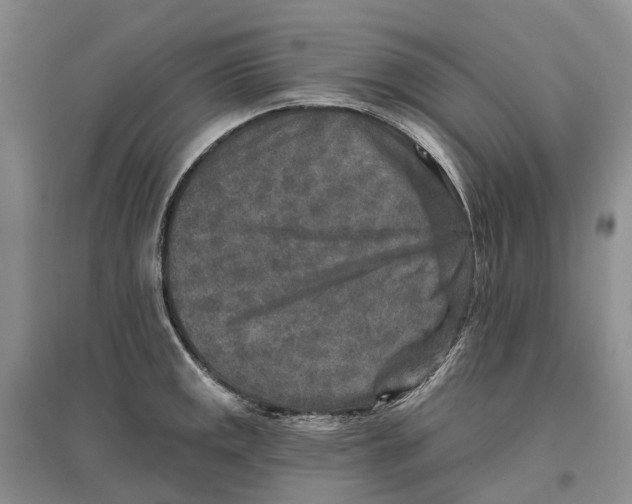 X0000096711141200802261623