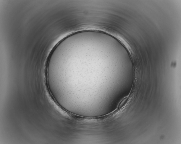 X0000096711142200802261623