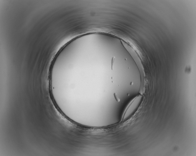 X0000096711143200802261623