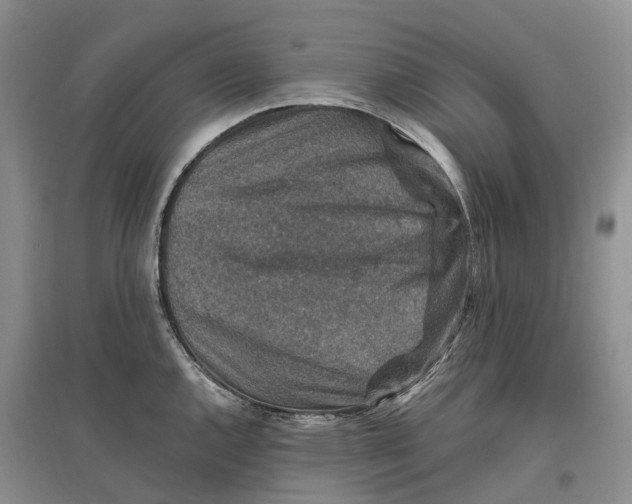 X0000096711144200802261623