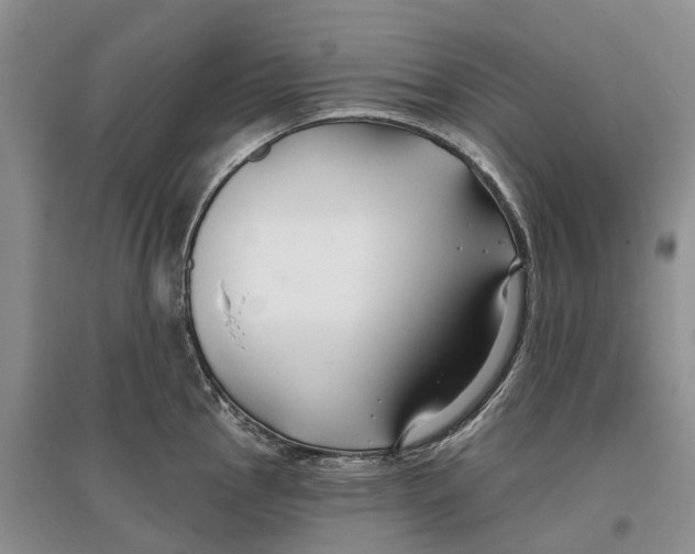 X0000096711145200802261623