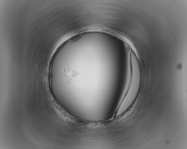 X0000096711146200802261623