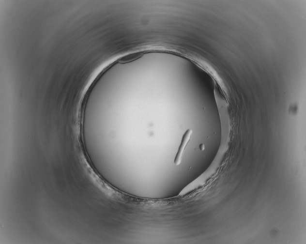 X0000096711148200802261623