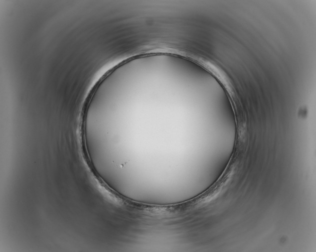 X0000096711149200802261623