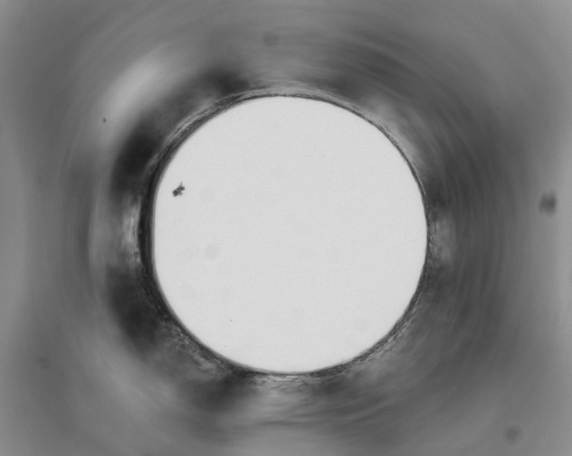 X0000096711150200802261623