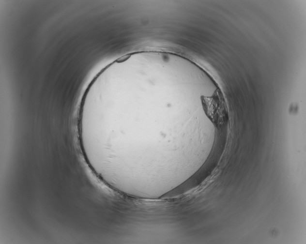 X0000096711152200802261623