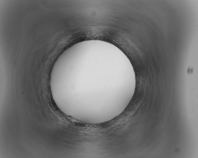 X0000096711153200802261622