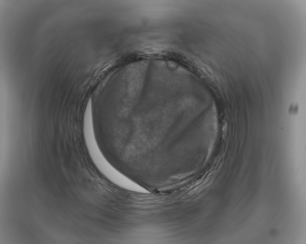 X0000096711156200802261622