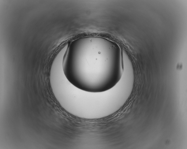 X0000096711157200802261622