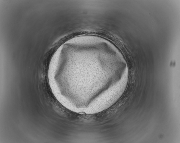 X0000096711158200802261622