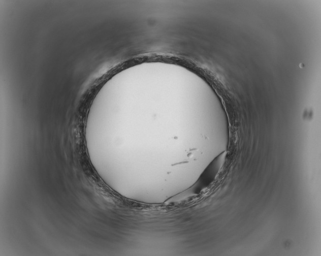 X0000096711159200802261622