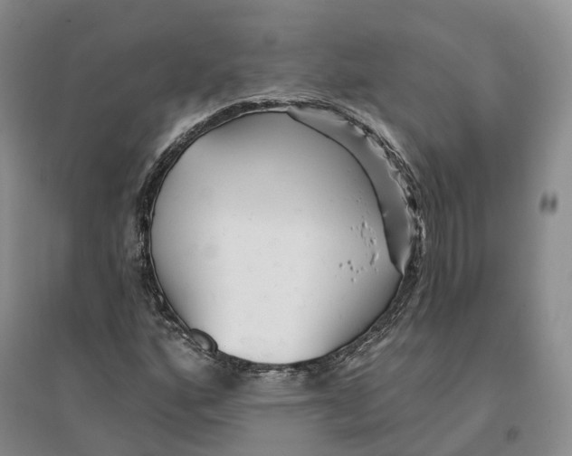 X0000096711160200802261622