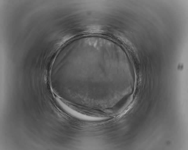 X0000096711161200802261622