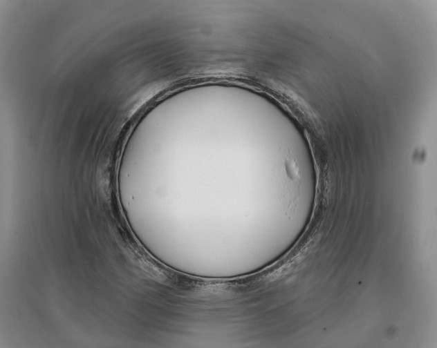 X0000096711162200802261622