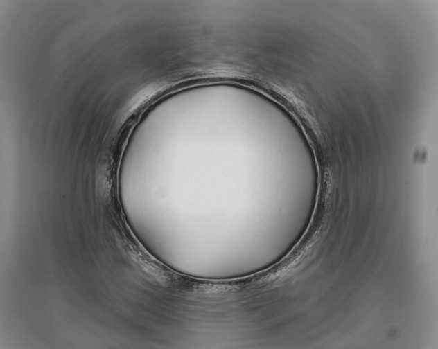 X0000096711163200802261622