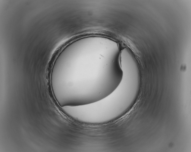 X0000096711164200802261622