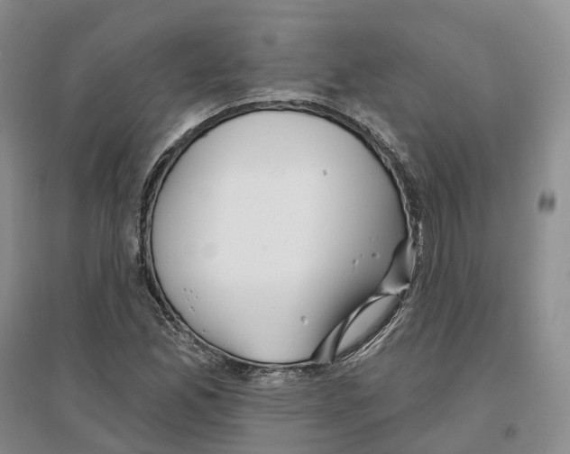 X0000096711165200802261622