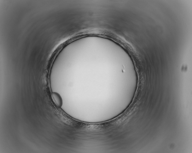 X0000096711166200802261622