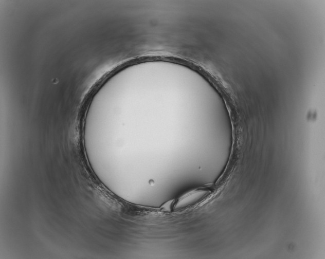 X0000096711167200802261622