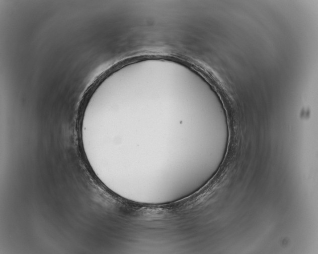 X0000096711168200802261622