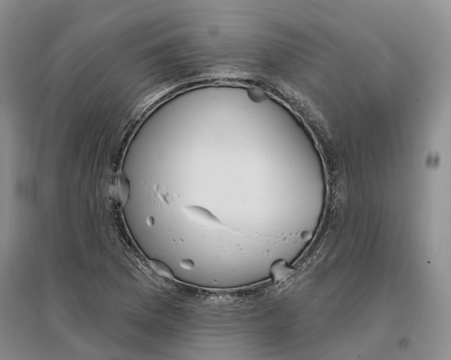 X0000096711169200802261622