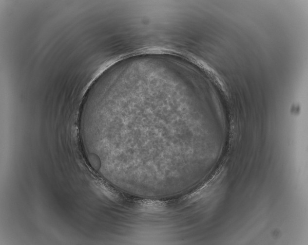 X0000096711170200802261622