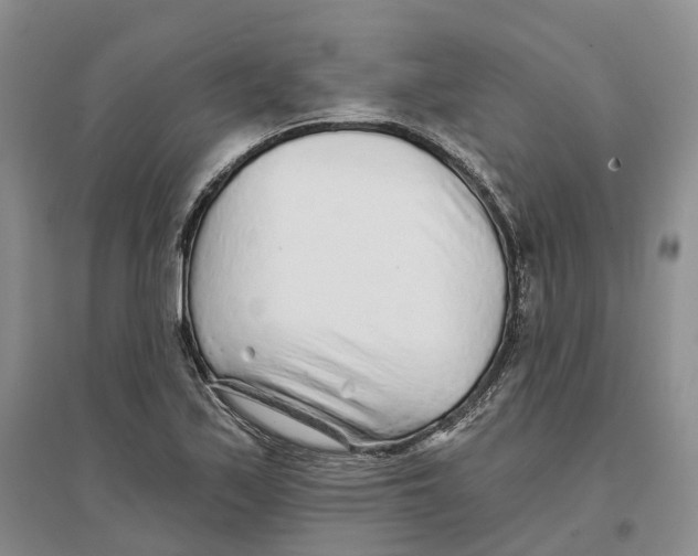 X0000096711171200802261622