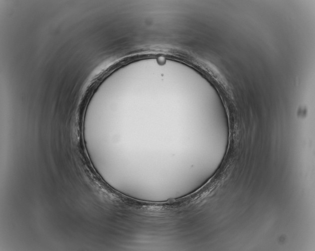 X0000096711172200802261622