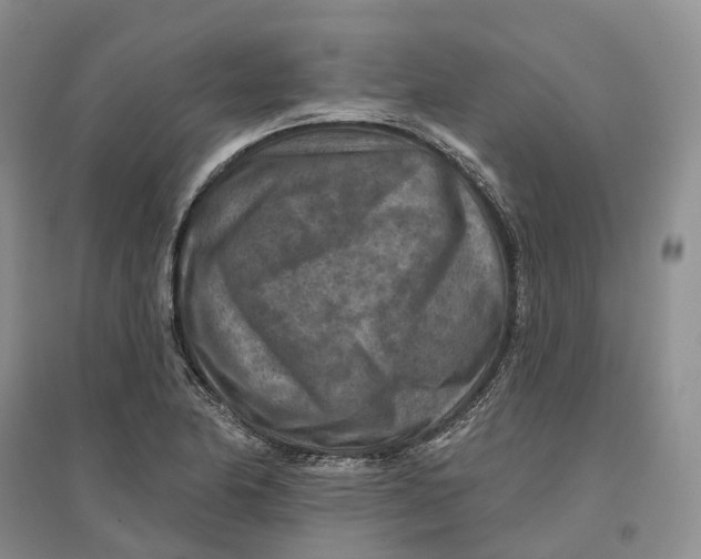 X0000096711174200802261622