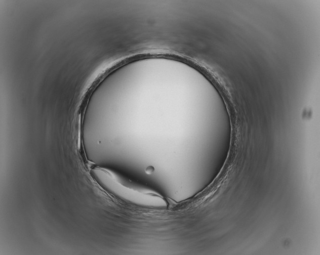 X0000096711175200802261622