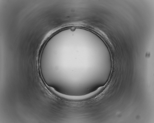 X0000096711176200802261622