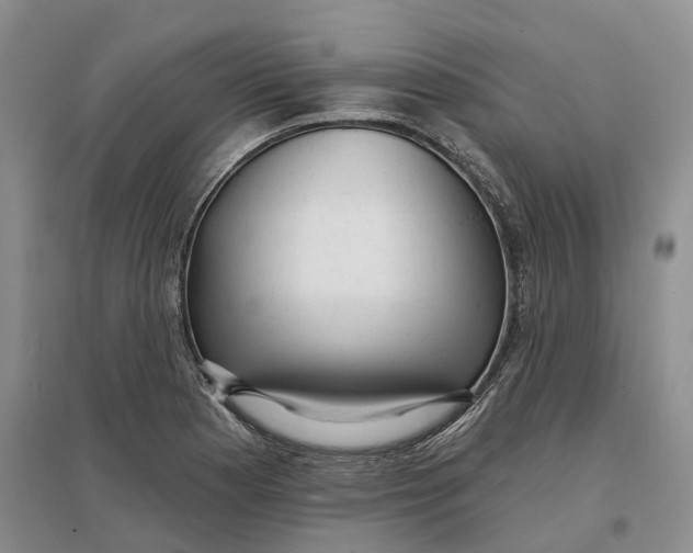 X0000096711177200802261622