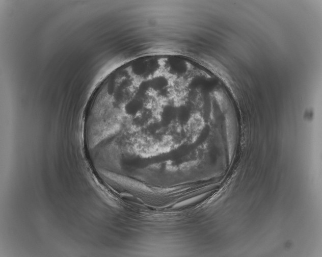 X0000096711179200802261622