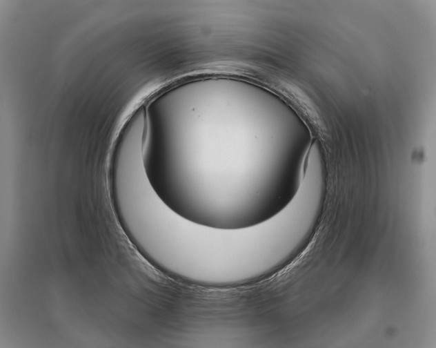 X0000096711180200802261622