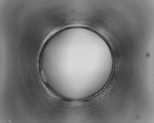 X0000096711181200802261622